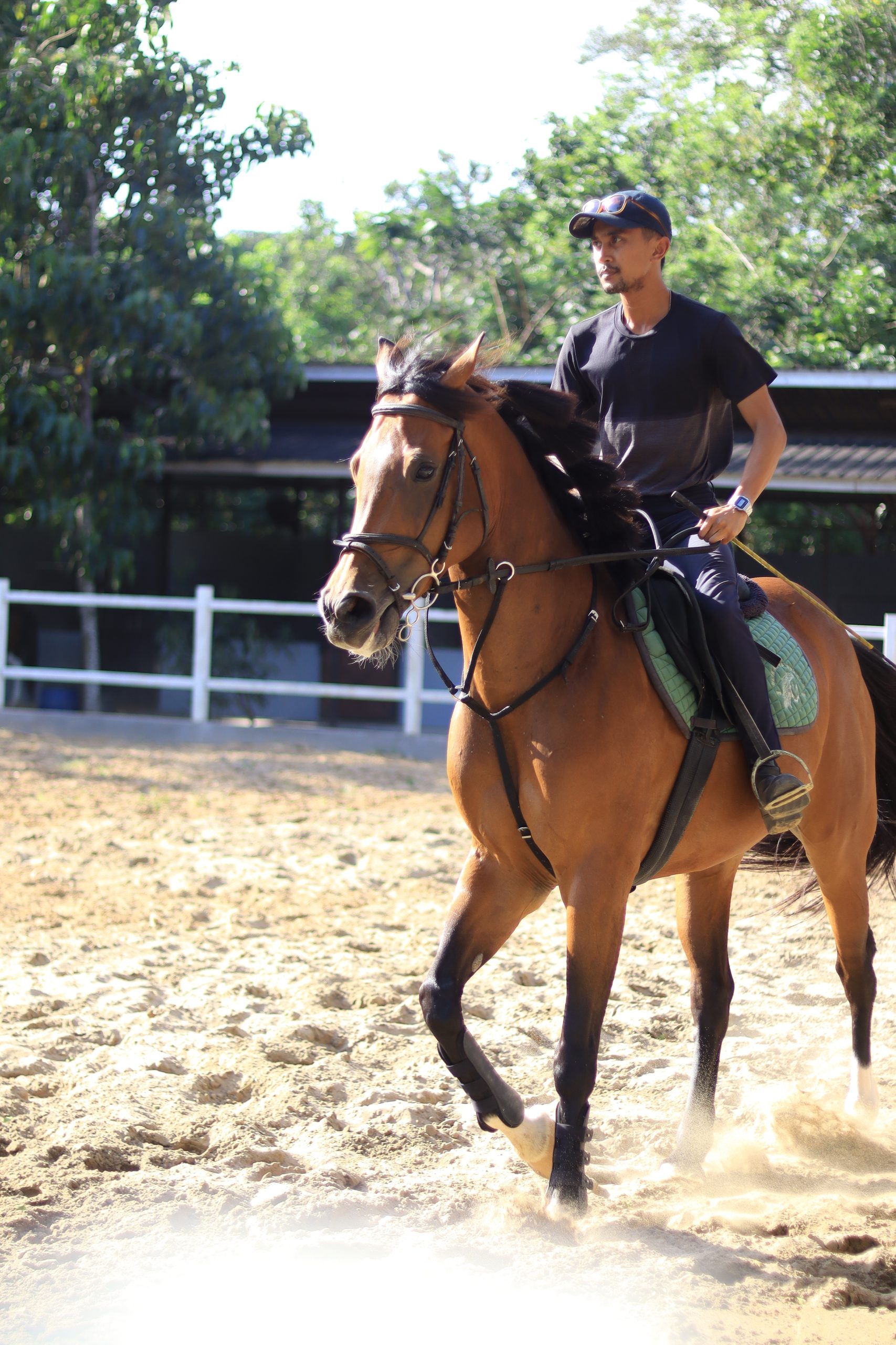 Fasilitas Stable